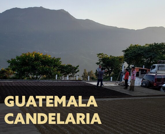 Candelaria